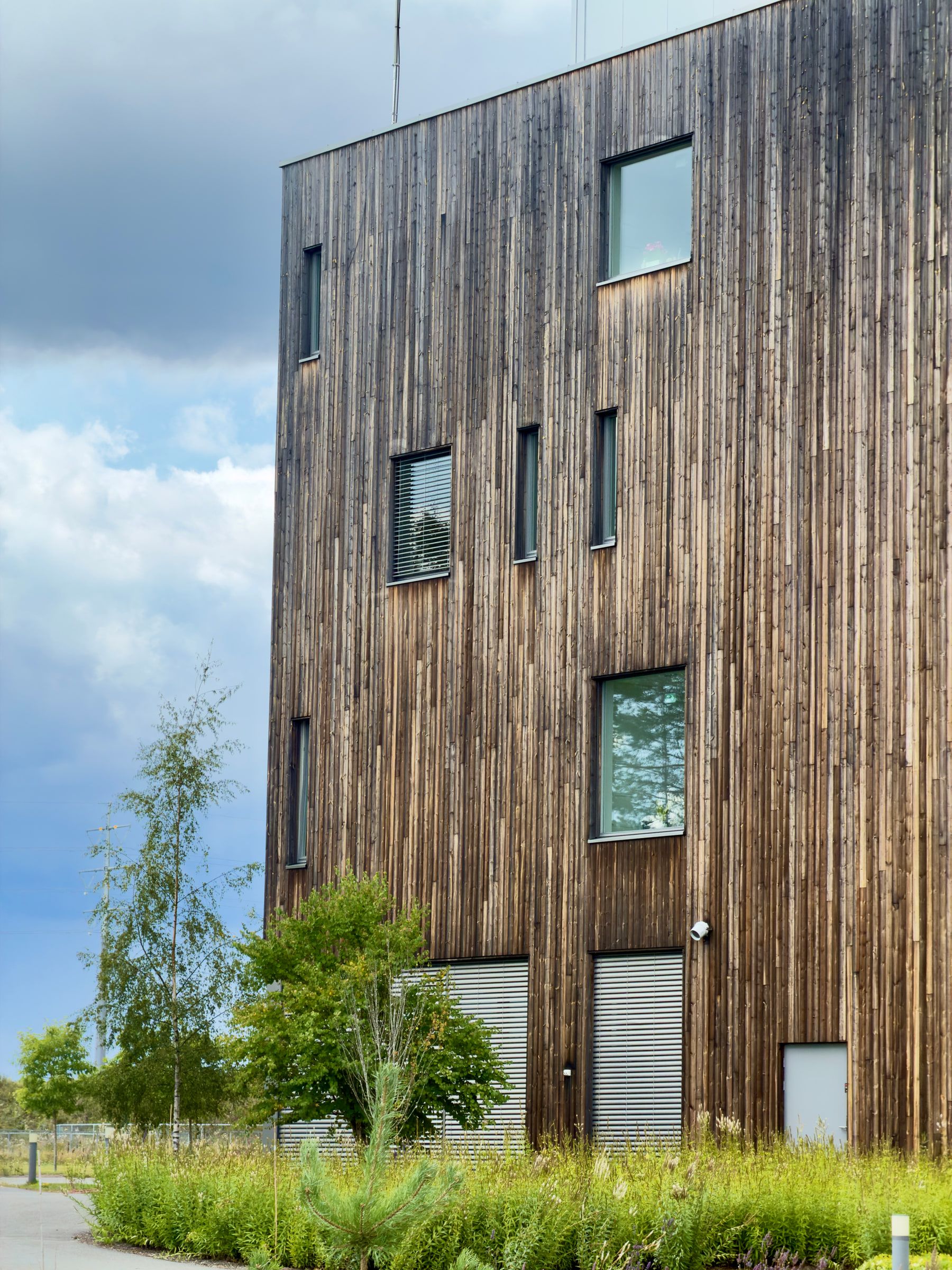 A three-storey building clad in weathered vertical timber, wild grasses growing at its base under a blue sky