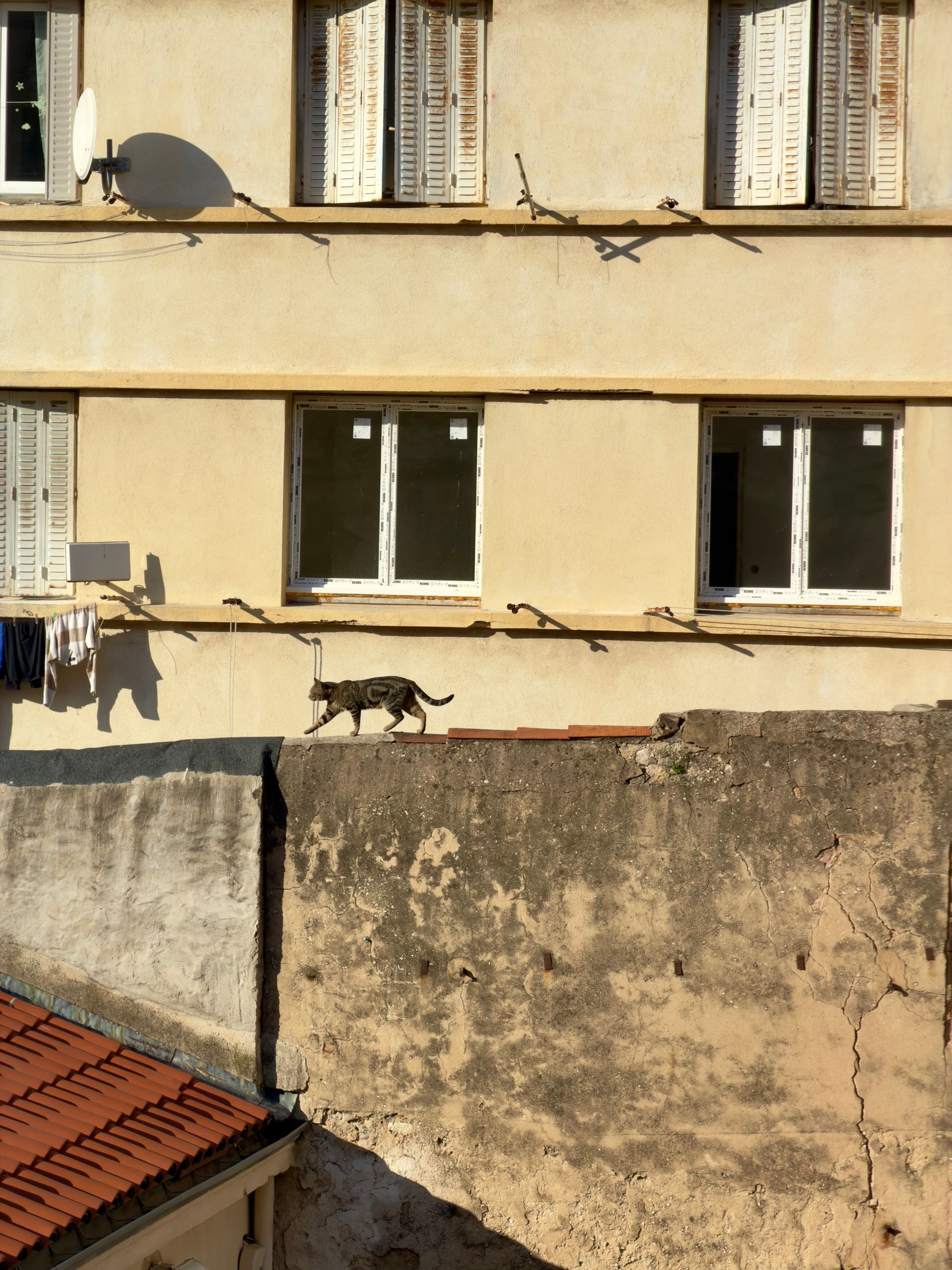 An ochre apartment facade with shutters and a washing line, a cat walking along the top of a cracked garden wall below