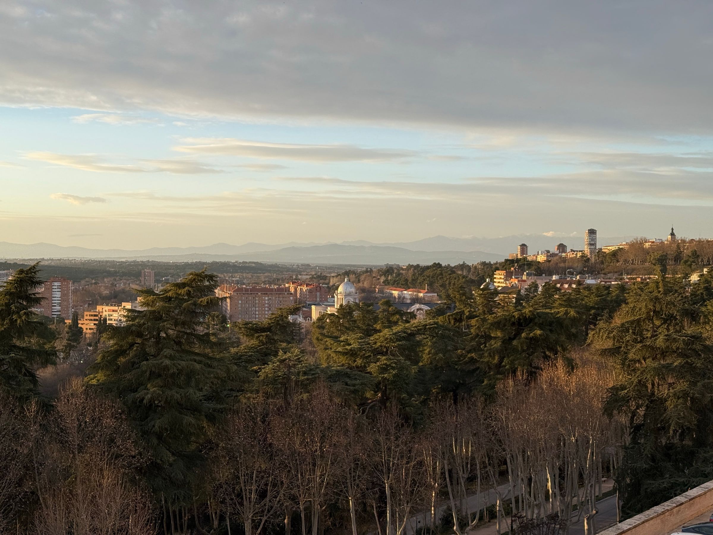 A view over the bare and evergreen treetops of a large park to low city blocks, a pale dome among them and a line of mountains on the horizon