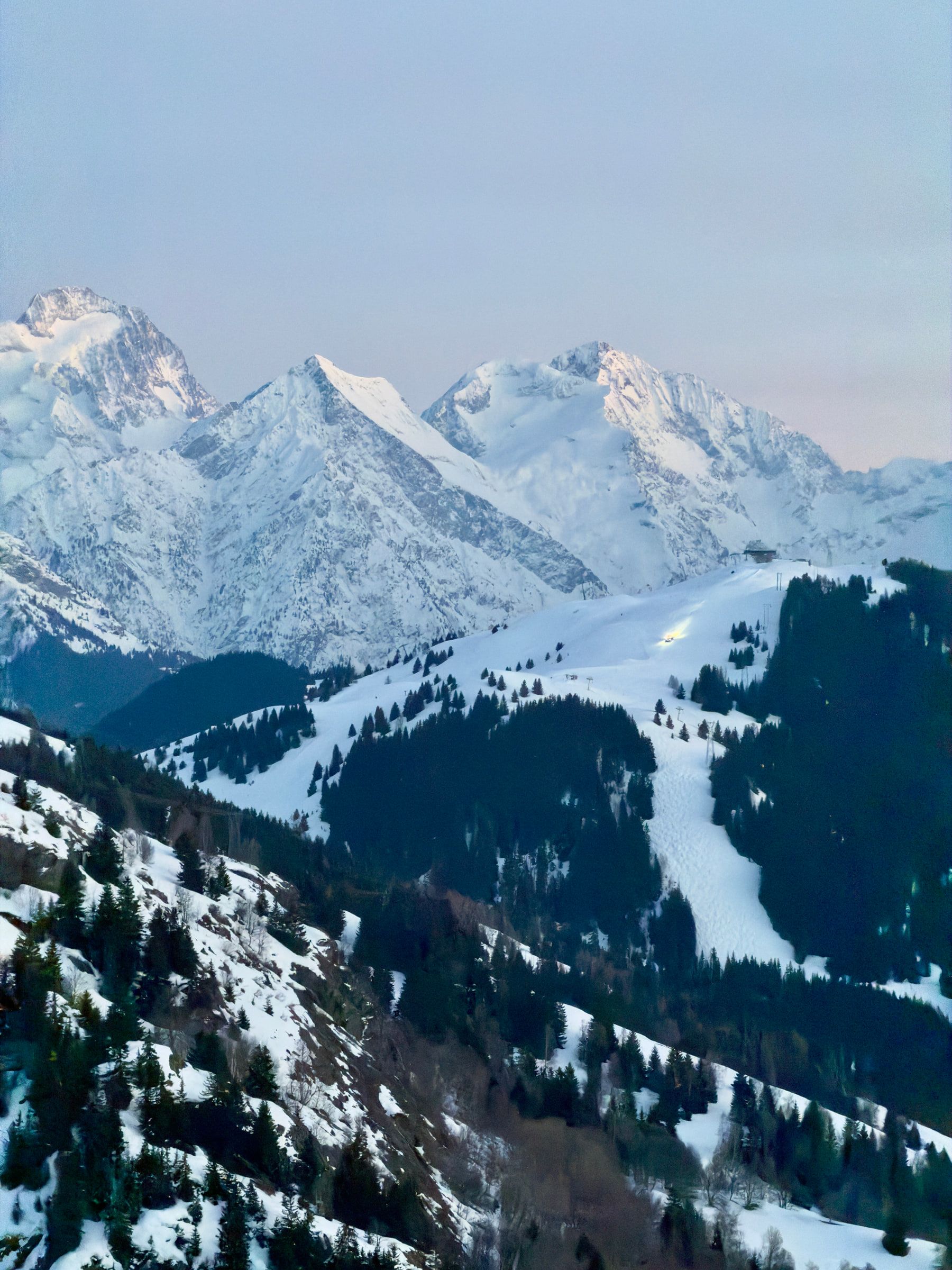 Snow-covered alpine peaks above dark forested slopes, the sky fading pink behind them