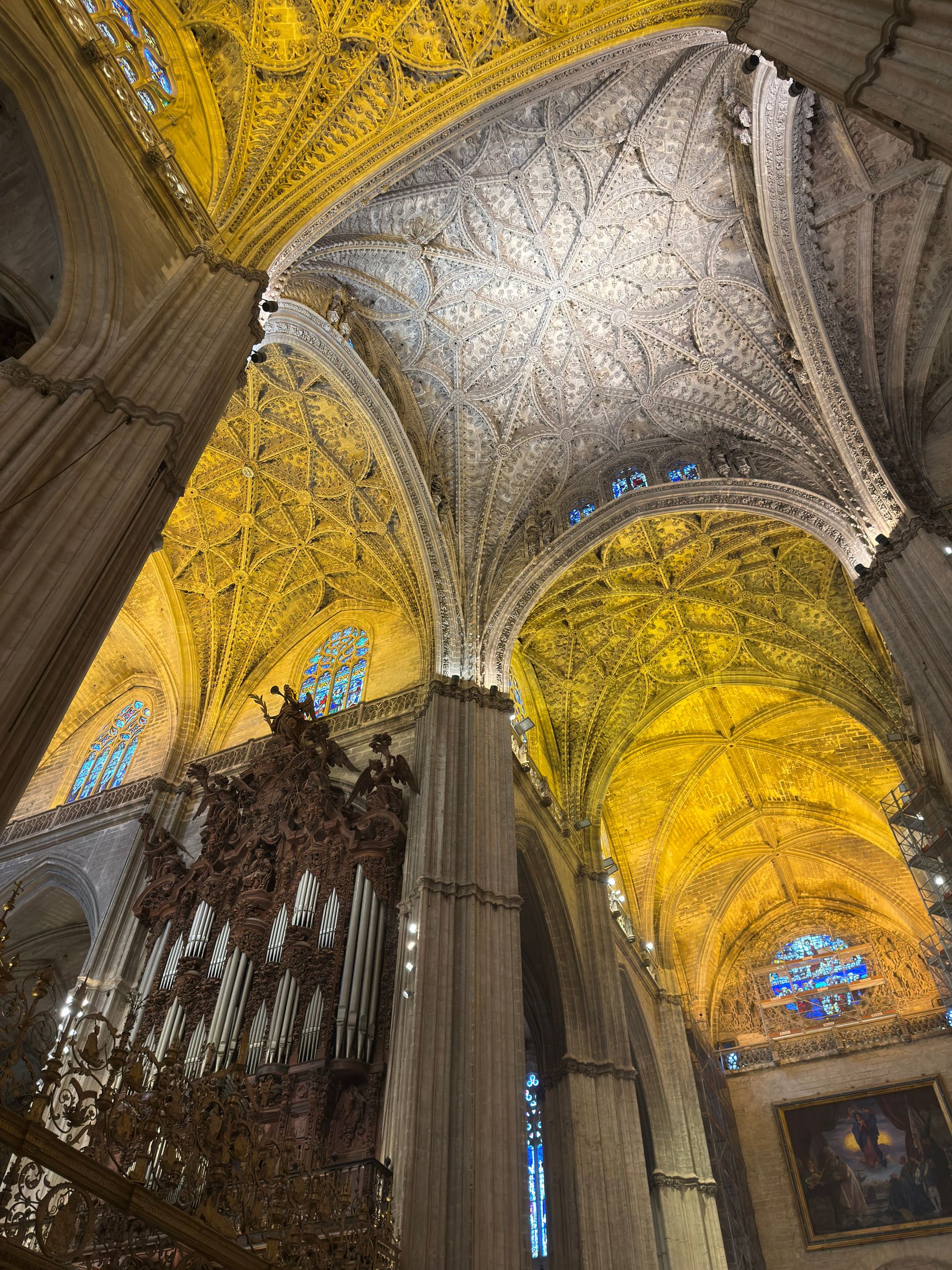 Ribbed Gothic vaults lit gold and silver from below, an ornate organ with ranks of horizontal pipes standing between the piers