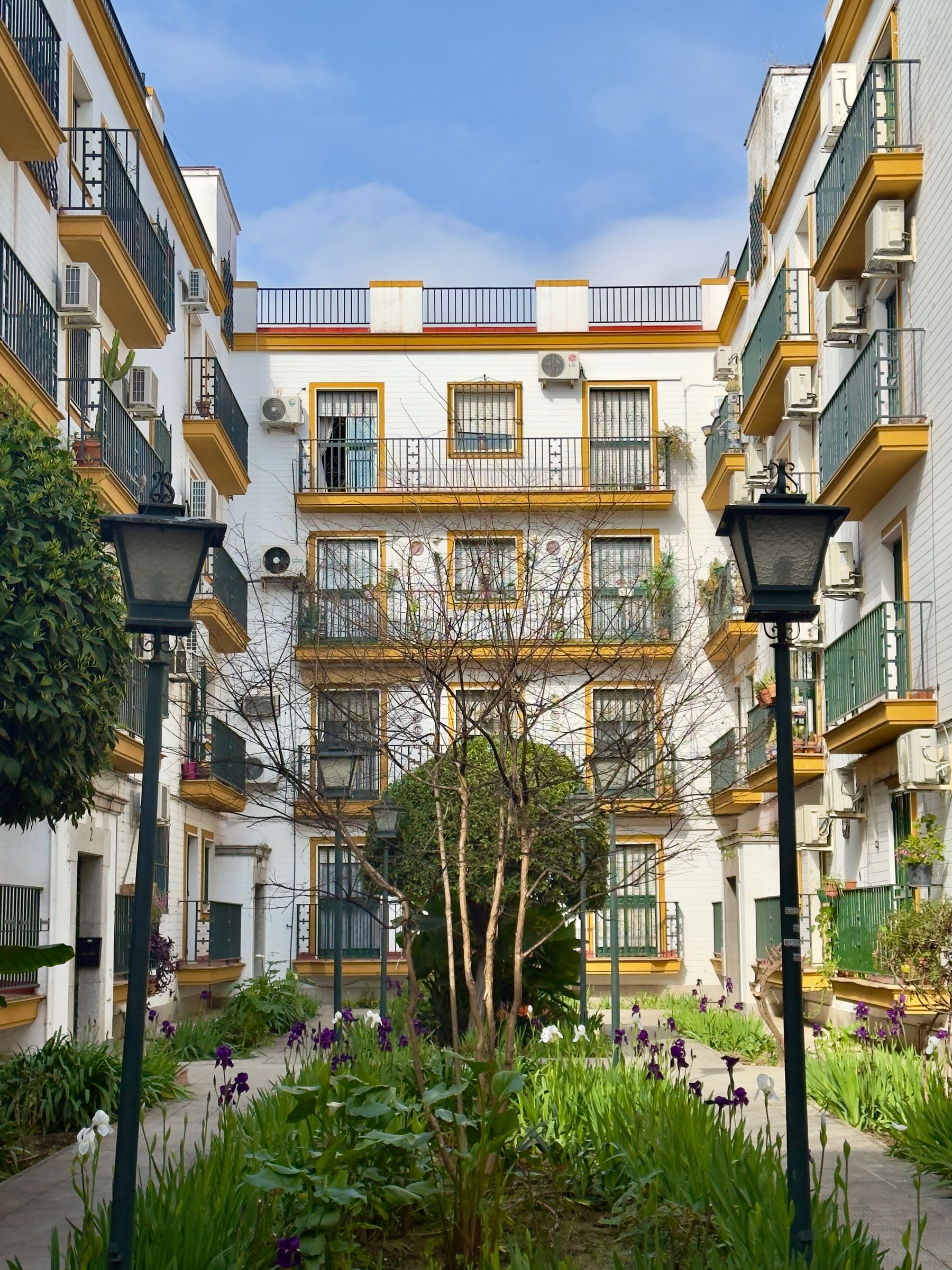 A narrow residential courtyard planted with irises between lamp posts, ringed by white apartment blocks with yellow-trimmed balconies