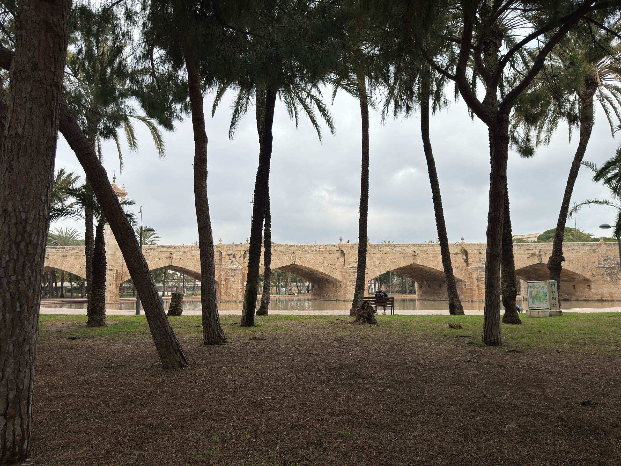 A many-arched stone bridge seen through the trunks of tall palms and pines growing in the sunken parkland beneath it