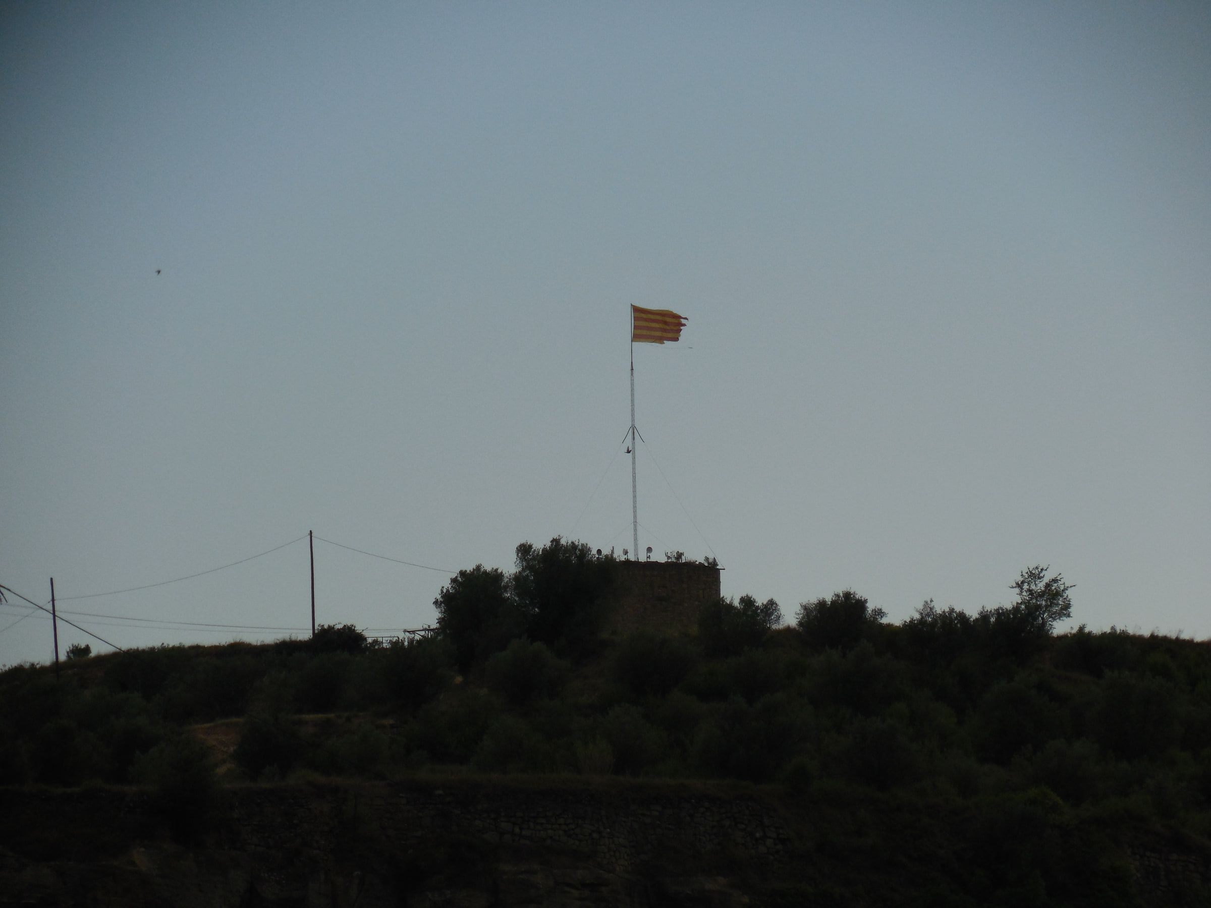 A hilltop tower flying a flag, silhouetted above dark trees against a pale sky