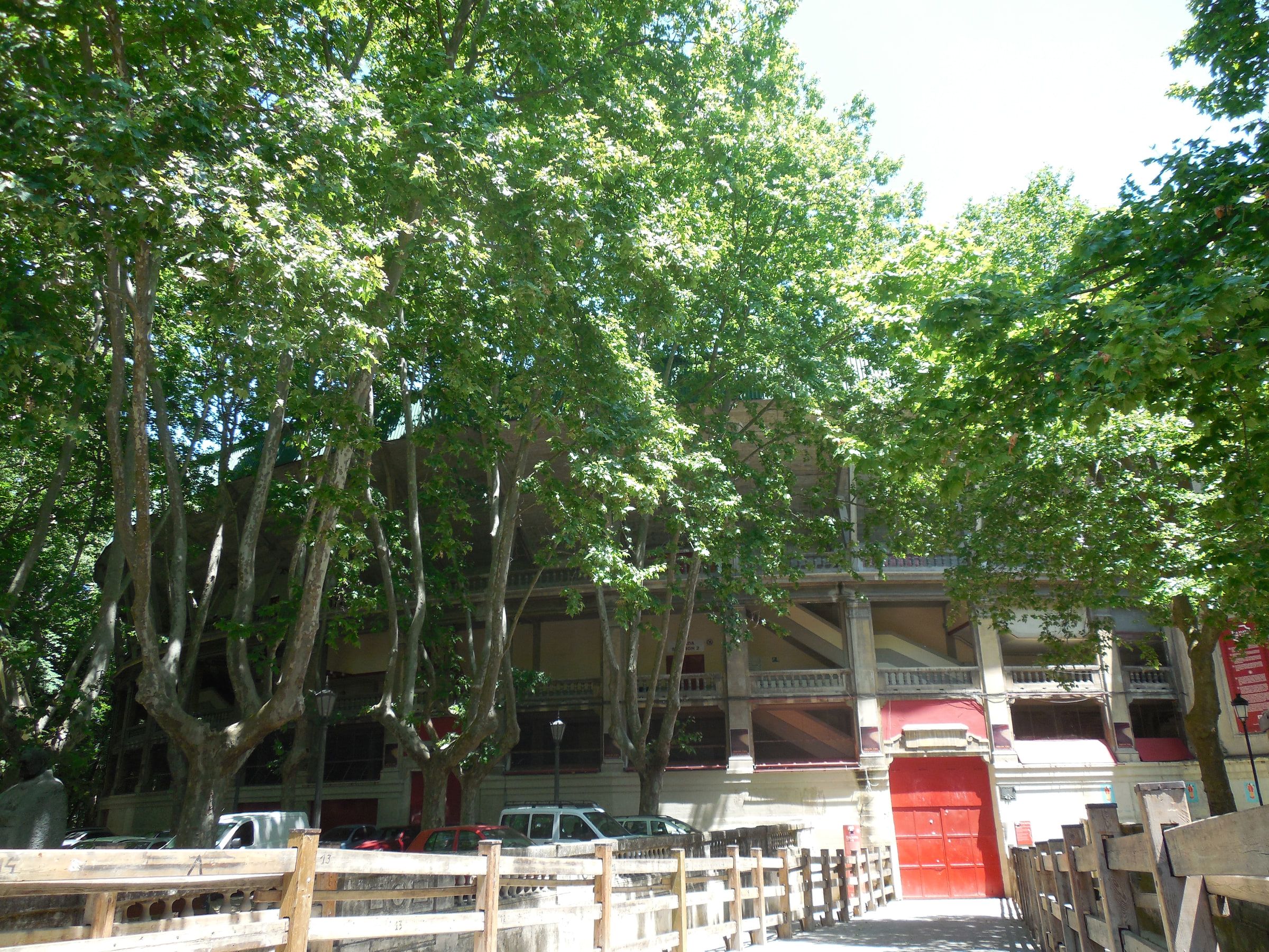 Plane trees in front of a bullring's brick exterior, red gates shut and wooden barriers stacked alongside