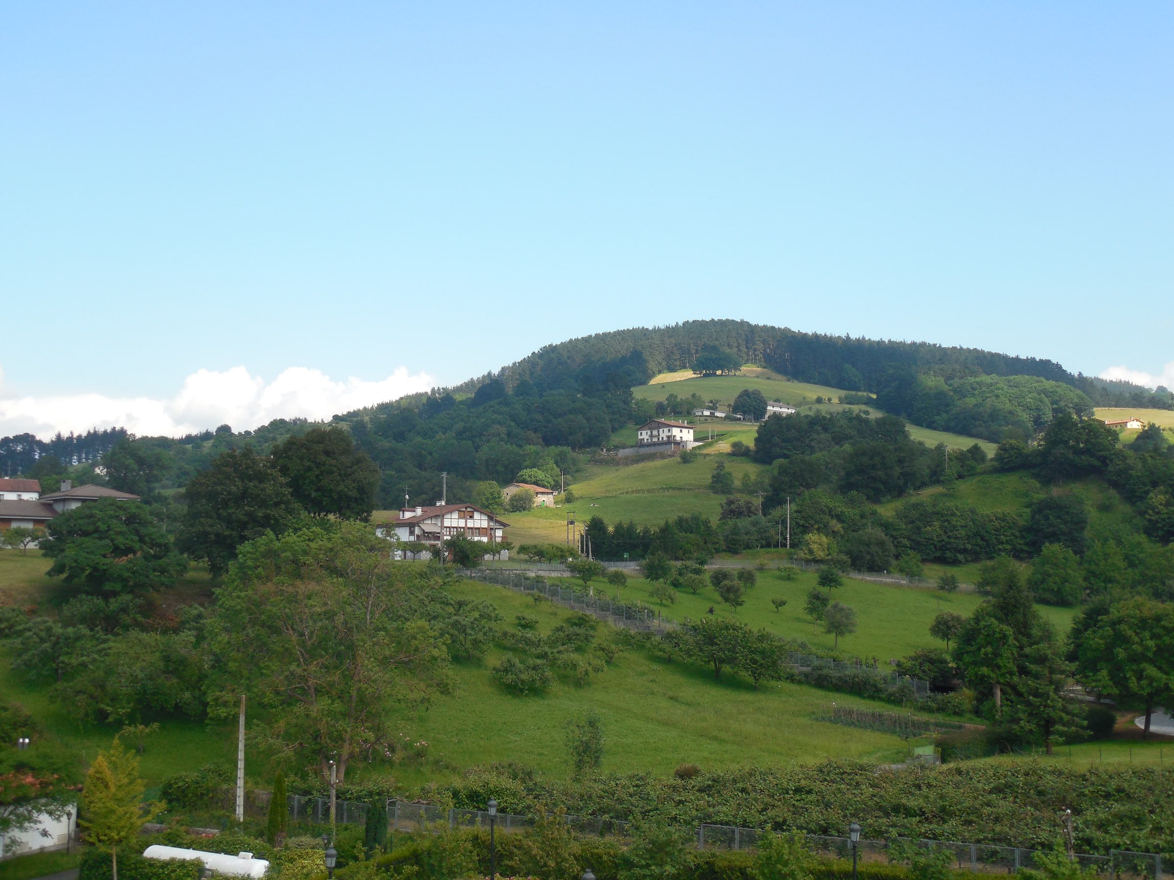 Green farmland and woodland on rolling hills, white farmhouses scattered across them